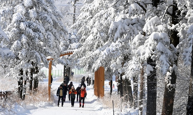 Snow at mountain pass Daegwallyeong