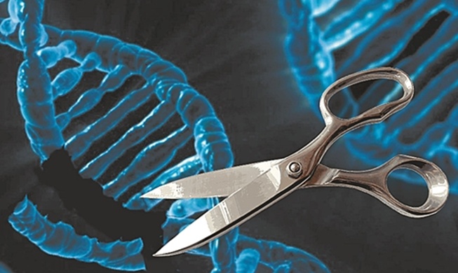 Genetic scissors tech developed to target cancer cells' DNA