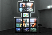 2016 celebrates artist Nam June Paik