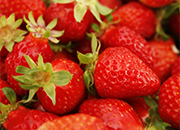 2016 Nonsan Strawberry Festival 