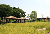 Summertime at Haneul Park