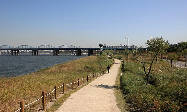 Top 5 Hangang River trails to explore this fall