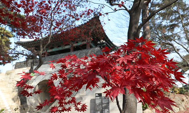 Seoul exudes last-minute autumn vibes