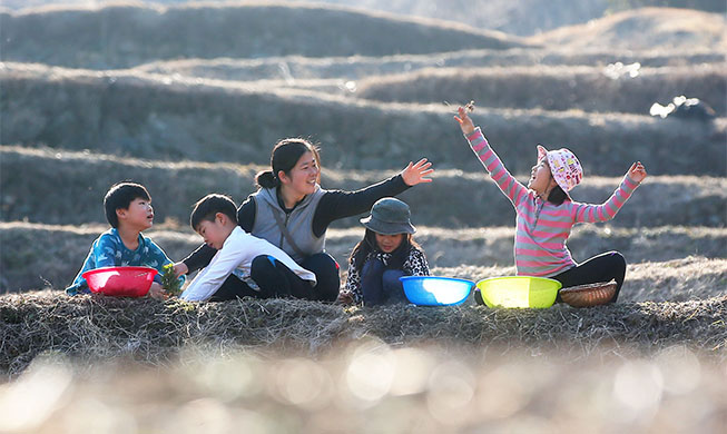 Children to pick spring greens