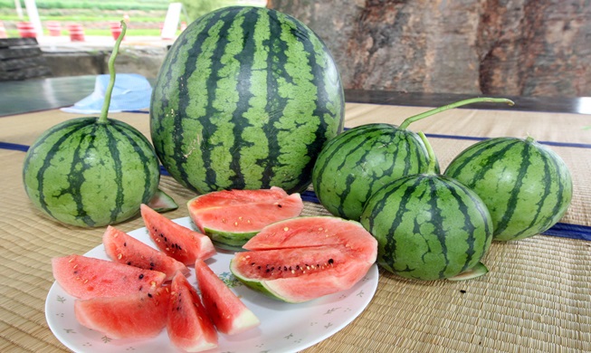 New types of watermelons attract consumers