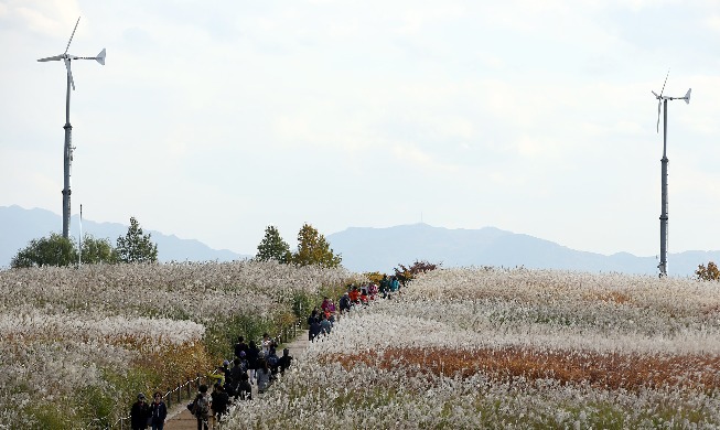 Haneul Park: from ugly landfill to eco-friendly hot spot