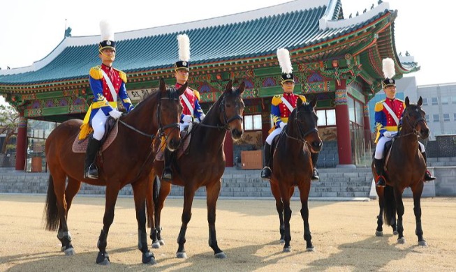 Photo essay of horse calvary unit at Korea Military Academy