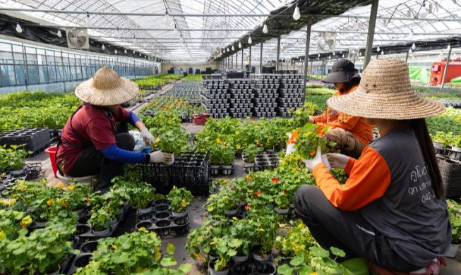 Ministry to improve labor rights, interests of migrant workers