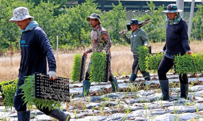 [2025 review ③] Immigration policy goes from 'mgmt.' to 'settlement'