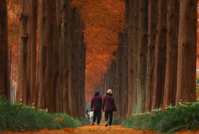 Enjoying nature with end of fall