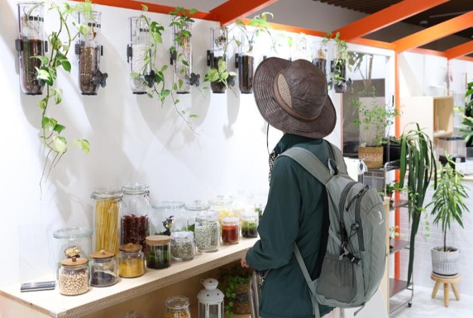 Plants in everyday spaces