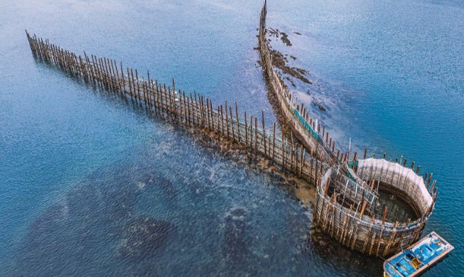 4 traditional agro-fisheries systems certified by UN agency