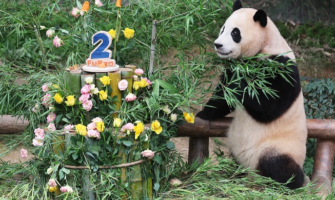 Giant panda Fu Bao celebrates her 2nd birthday