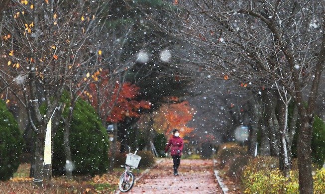 [Korea in photos] Solar term marks start of winter weather