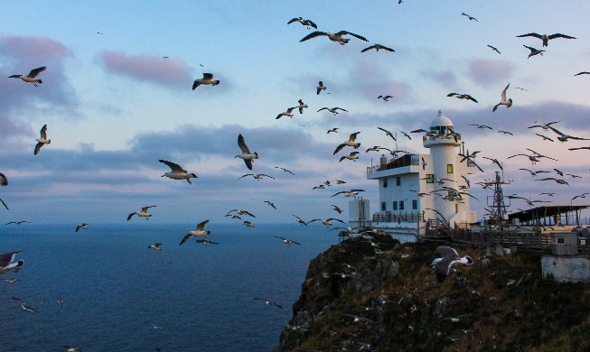 Police officer stationed on Dokdo urges tourists to visit island