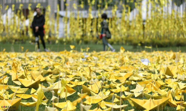 Egyptian's tribute to fallen hero of Sewol ferry sinking