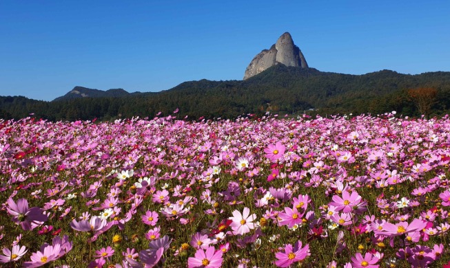 80th Liberation Day event to promote 13 historical tourist sites