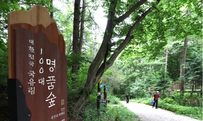 'Deep rest, strong scent': forest boosts health, region's economy